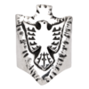 Thunderbird Arrowhead